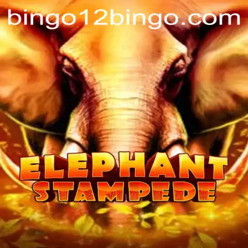ElephantStampede and the Exciting World of 12BINGO