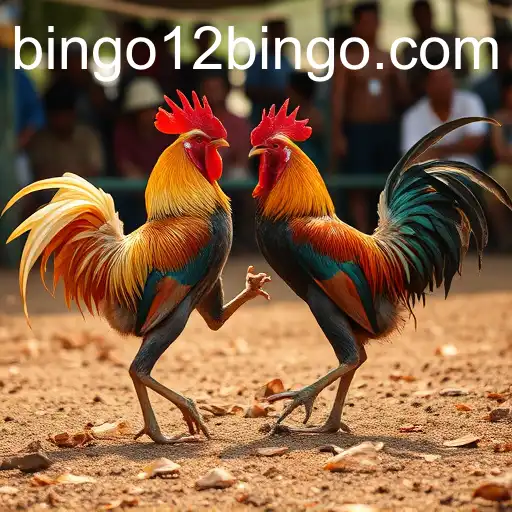 Security and Trust 12BINGO - International Licenses and Certifications